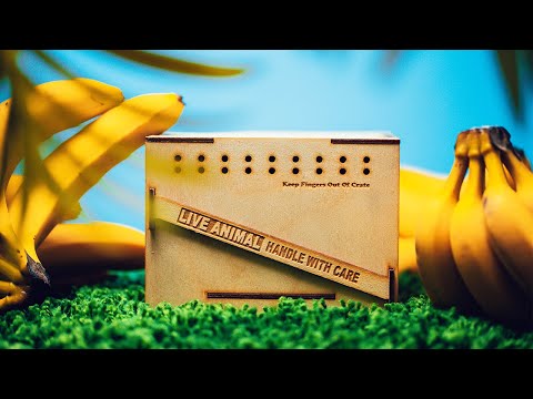 THIS PUZZLE IS BANANAS - My NEW Favorite Puzzle!! ($1200)