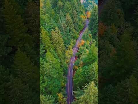 Soulence – Chillout & Deep House Mix • Soul Relax Music | Фоновая музыка для концетрации