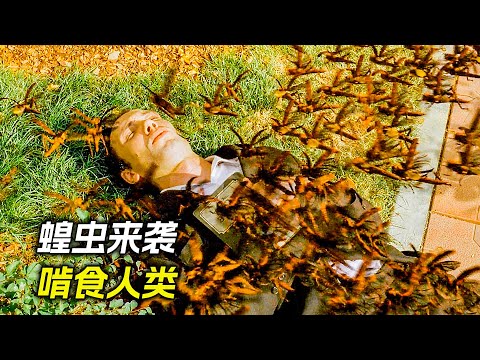 食肉蝗蟲飛出實驗室，瘋狂地攻擊人類，科幻，奇幻，電影，解說，獵奇，災難，冒險，蝗蟲