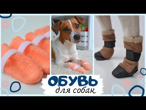 DIY DOG SOCKS AND BOOTS - EASY AND QUICK!!!