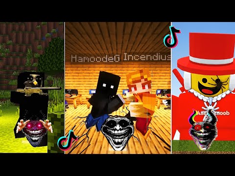 MINECRAFT BIGGEST COLDEST MOMENTS COMPILATION 999200000$