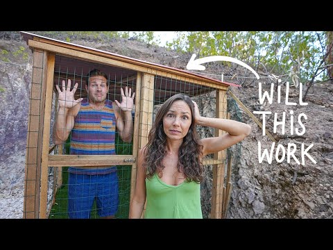 ADOPTING 3 OUTDOOR CATS: building a "CATIO" to help with re-homing