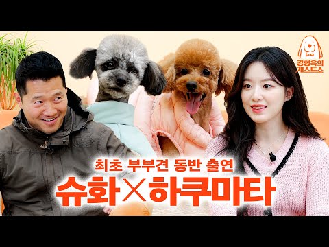 Hyung-wook's 1st partnership proposal for (G)I-dle Shuhua [Kang Hyung Wook's Dog Guest Show] EP. 25
