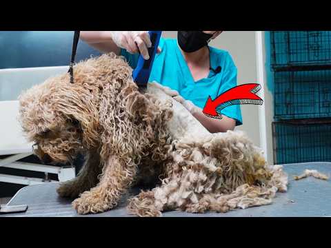 His Condition Was Worse Than I Imagined