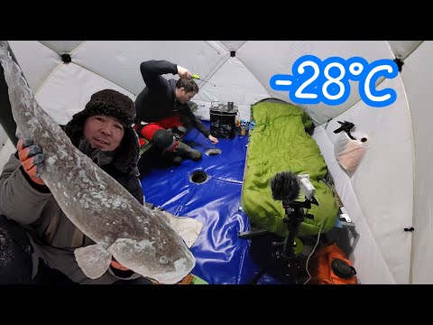 НАЛИМЫ АТАКОВАЛИ ЖЕРЛИЦЫ!!! Эта ночёвка запомниться навсегда!!!