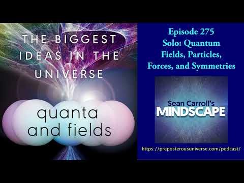 Mindscape 275 | Solo: Quantum Fields, Particles, Forces, and Symmetries