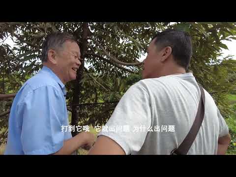 榴莲园讲解 03 02 23