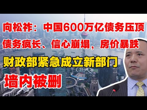 【墙内被删】财政部成立新部门应对债务危机｜向松祚：中国600万亿债务压顶！债务疯长、信心崩塌、房价暴跌！真的太敢说了！