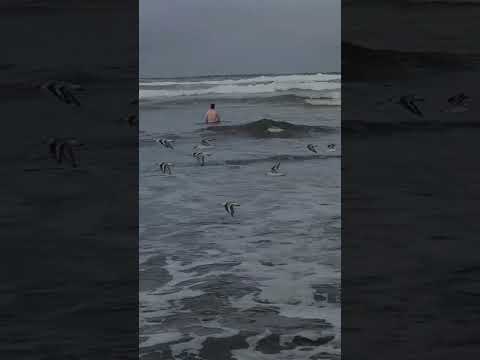 Birthday ocean dip #coldexposure #pnw #beach #coast