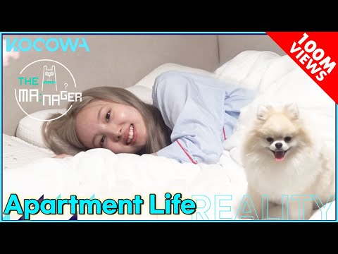 TWICE's NAYEON and MOMO's dorm life! l The Manager Ep205 [ENG SUB]