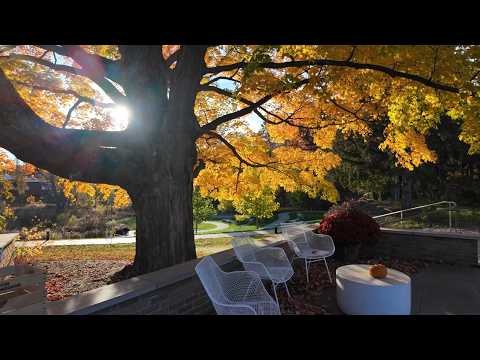 Peak Fall Color in Dreamy Forest Gardens | Dow Gardens & Canopy Walk