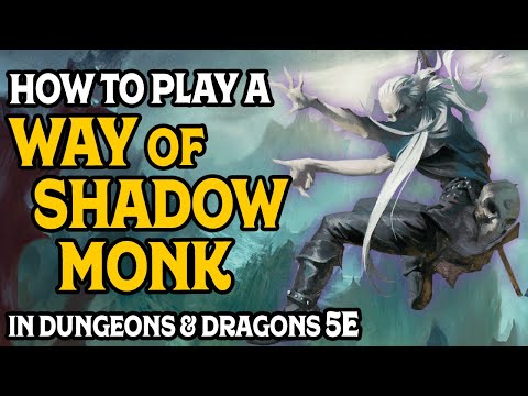 How To Play a Way of Shadow Monk in Dungeons and Dragons 5e