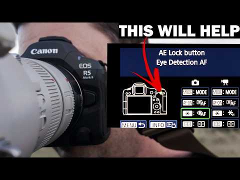 Canon R5 II Settings For Wildlife Photography