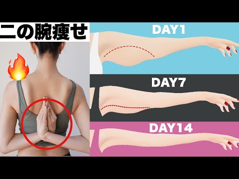 Slim Arms in 14 Days - 8 min Beginner Friendly Standing Work out