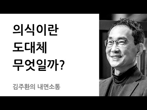 뇌가 만들어내는 환상, 의식(consciousness)