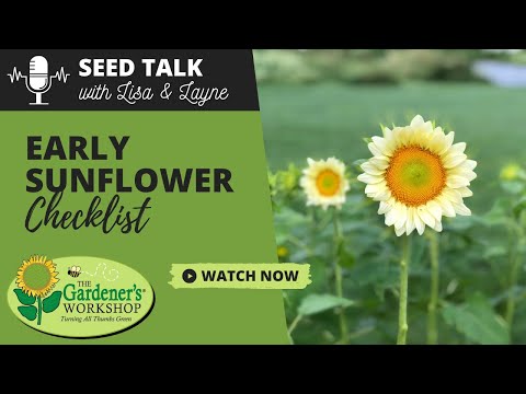 Seed Talk #79 - Early Sunflower Checklist