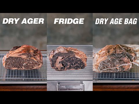 I tried all DRY-AGE techniques on Rib-eye