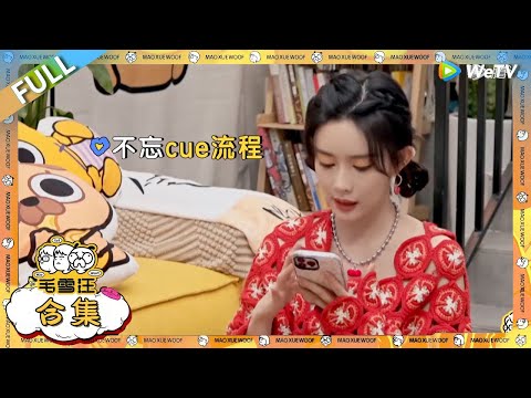 【孟子义合集】孟姐一来全是名场面！！#综艺 #毛雪汪 #李雪琴 #毛不易  #桃花坞