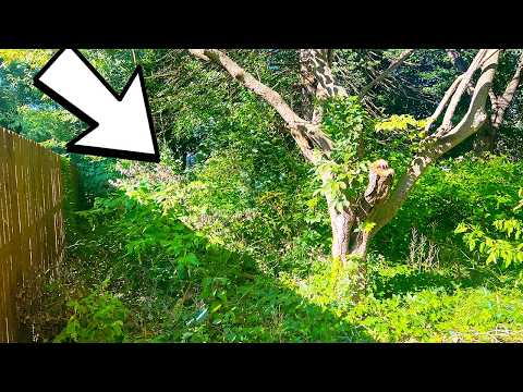 Angry Neighbor demands SHE clean up yard despite HEART ATTACK and Open Heart Surgery