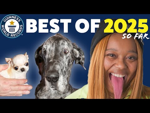 BEST RECORDS OF 2025... so far! | Guinness World Records