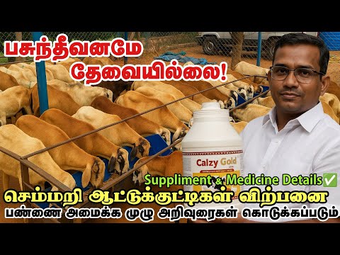 பண்ணைகளுக்கு தேவையான குட்டிகள் முதல் மருத்துவம் நோய் மேலாண்மை  முறைகள் |குறிஞ்சி ஆட்டுப்பண்ணை |Salem