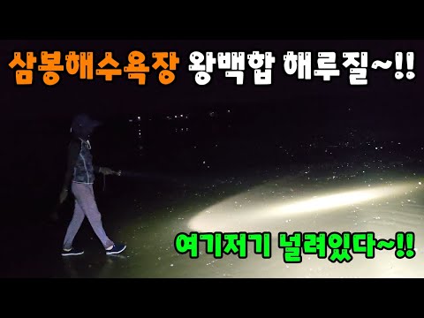 삼봉해수욕장 왕백합 해루질 ~!! 여기저기 널려있다~!!