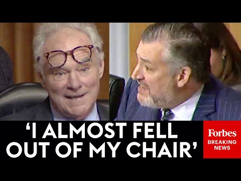 Ted Cruz Absolutely Loses It Over Kaine For Criticizing Rubio For Saying Our Rights Come From God