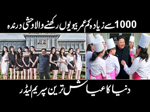 A luxury Life of North Korean Leader Kim Jong un | Urdu Cover
