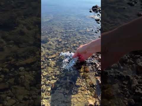 She poured molten metal 🔥 Into water 💧 The result is insane!
