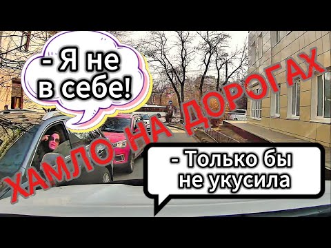 ХАМЛО и БЫДЛО на дорогах. Воронеж. выпуск №68 + Видосы от подписчиков. Апрель 2025
