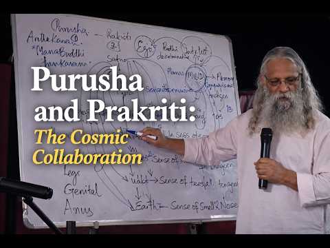 Purusha and Prakriti: The Cosmic Collaboration