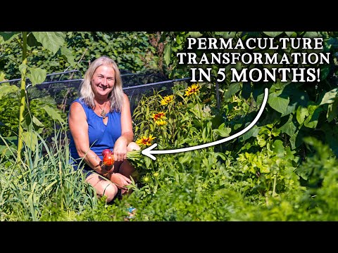 From Lawn to No Dig Abundance in 5 MONTHS | NEW Productive Kitchen Garden for Minimal Effort