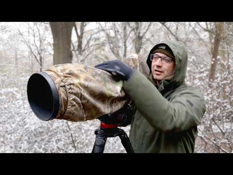 How to Photograph Small Birds at the Park: Bird Photography Tips & Tricks
