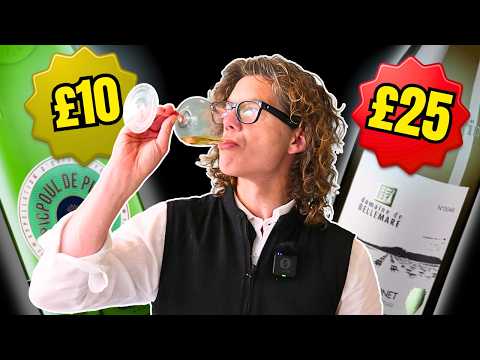 Cheap vs. Expensive (Which Tastes Better?)