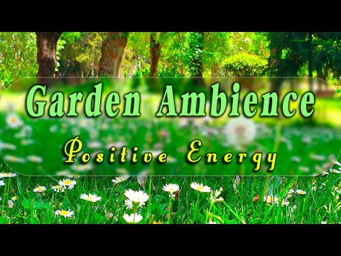 🌿🌞Begin Your Day with the POSITIVE ENERGY of Healing Spring Sounds 🌿Fresh Morning Garden Ambience#1