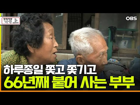 [다큐 ‘가족’ 30회 上] 하루종일 쫓고 쫓기고 66년째 붙어 사는 부부