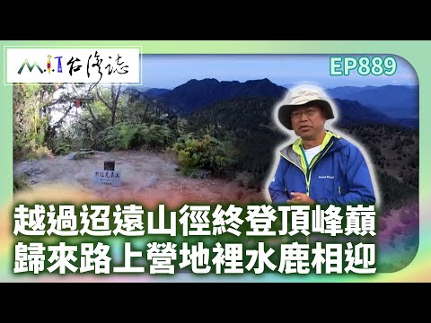 越過迢遠山徑終登頂峰巔 歸來路上營地裡水鹿相迎｜臺東縣海端鄉 麥覺明【@ctvmit889集】