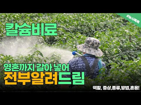 칼슘비료의모든것!