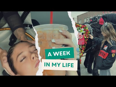 A Realistic Week in My Life as a Part-Time Content Creator