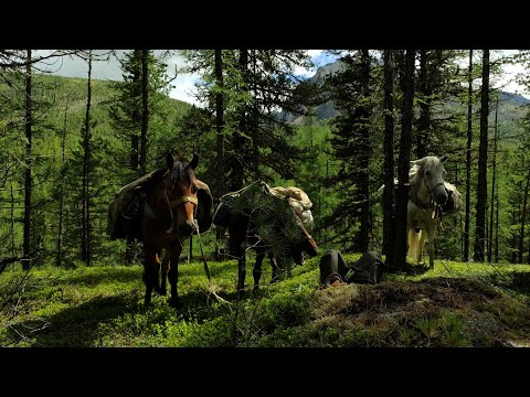 Жизнь по правилам Саяна. Полтора месяца в тайге.