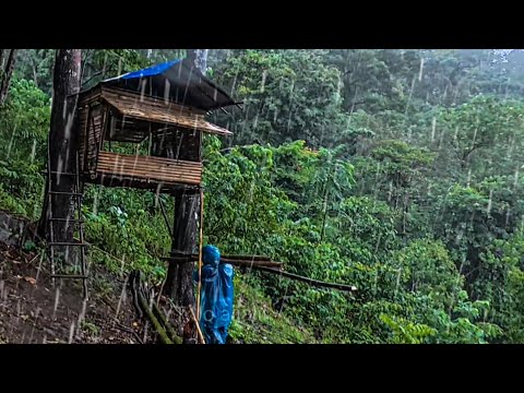 I Built a hidden shelter made of bamboo during heavy rain 