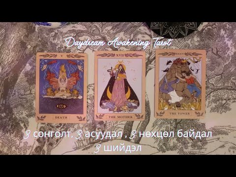 таны нөхцөл байдал, асуудлын шалтгаан, шийдэл | Daydream Tarot