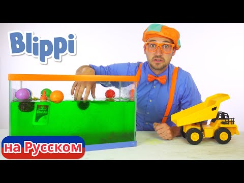 Утонет или всплывёт? | Блиппи на Русском | Изучай этот Мир вместе с Блиппи | Blippi
