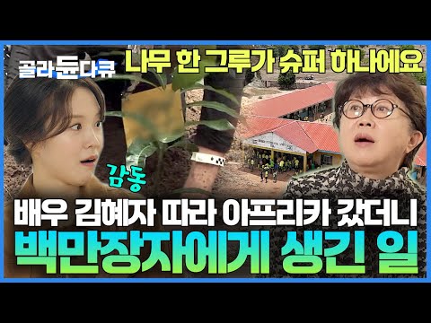 "너무 척박해서 달걀에 노른자가 없어요" 백만장자가 아프리카에 나무를 100그루를 심은 이유｜한국 최정상 패션 디자이너가 아프리카에 심은 기적｜서장훈의 이웃집 백만장자｜#골라듄다큐