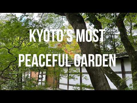 Inside Kyoto's Timeless Moss Temple | Why Saihoji is Japan's Hidden Gem