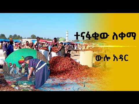 ውሎ አዳር:-ተናፋቂው ለቀማ