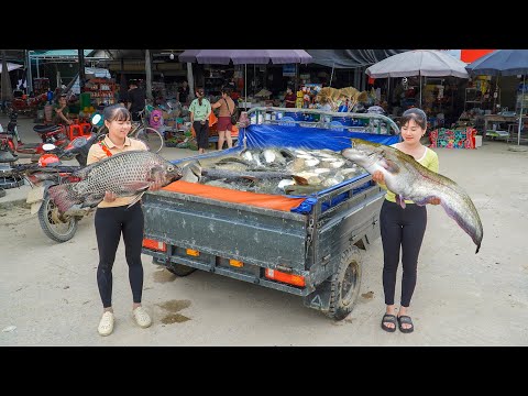 Buy Many Big Fish 12KG Each, Use 3-Wheeled Truck Transport Many Big Fish Go To Market Sell