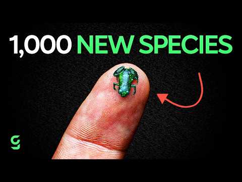 Over 1,000 New Species Discovered by Scientists