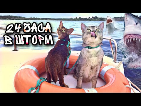 24 ЧАСА В ОТКРЫТОМ МОРЕ С КИСОЙ АРИЕЛОЙ В ШТОРМ