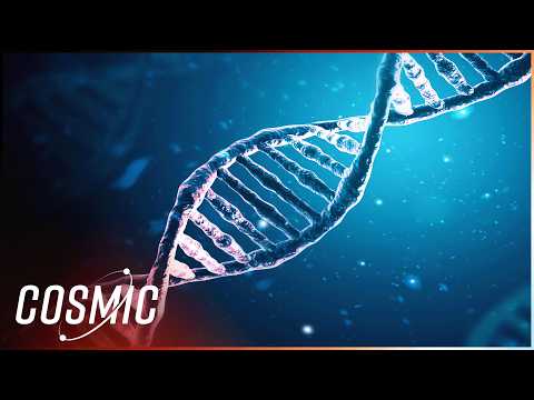 Was Darwin's Theory Of Evolution Wrong?